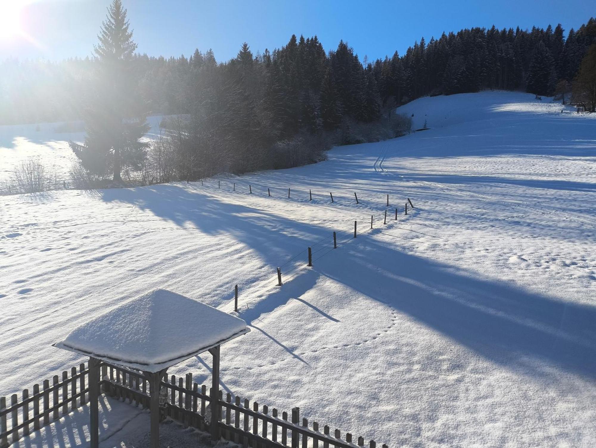 Familie Fritzenwallner Altenmarkt im Pongau Eksteriør billede